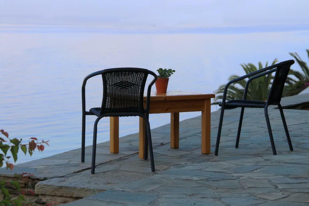 Cozy Guesthouse - Agios Romanos Bagian luar foto